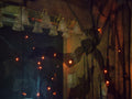 Halloween Light Up Black Curtain 84" x 50" Which Bat (lot 3100)