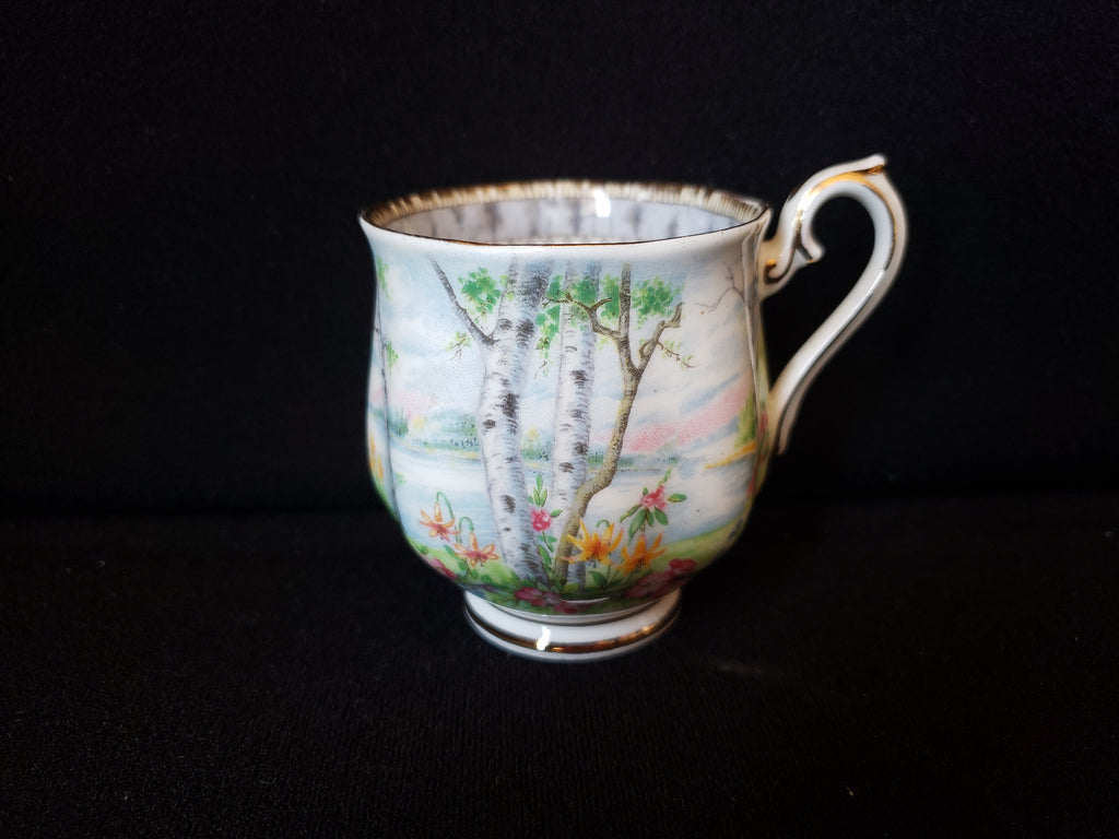 Vintage Royal Albert Silver Birch Demitasse Cup ONLY (lot 2030)