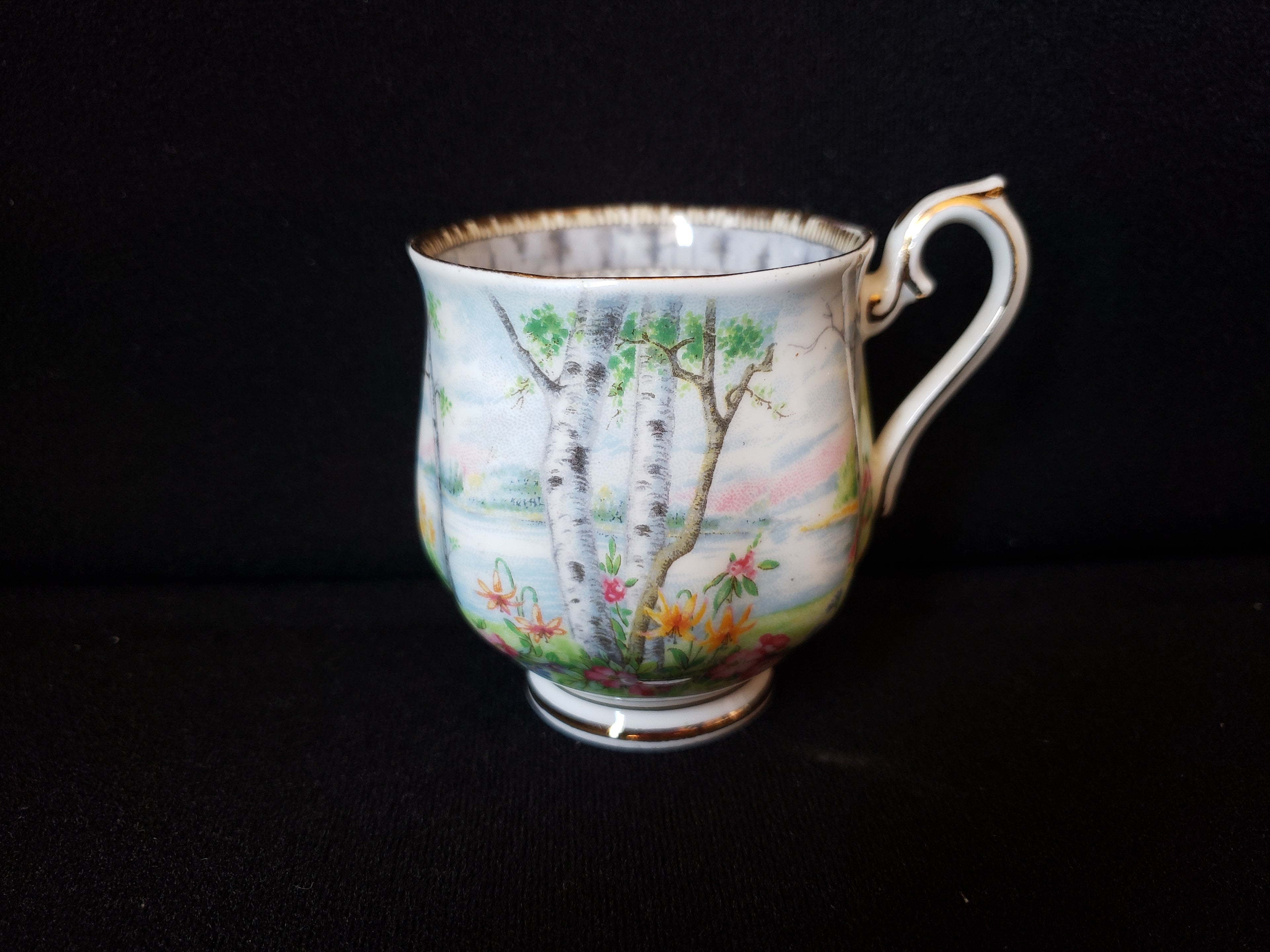 Vintage Royal Albert Silver Birch Demitasse Cup ONLY (lot 2030)