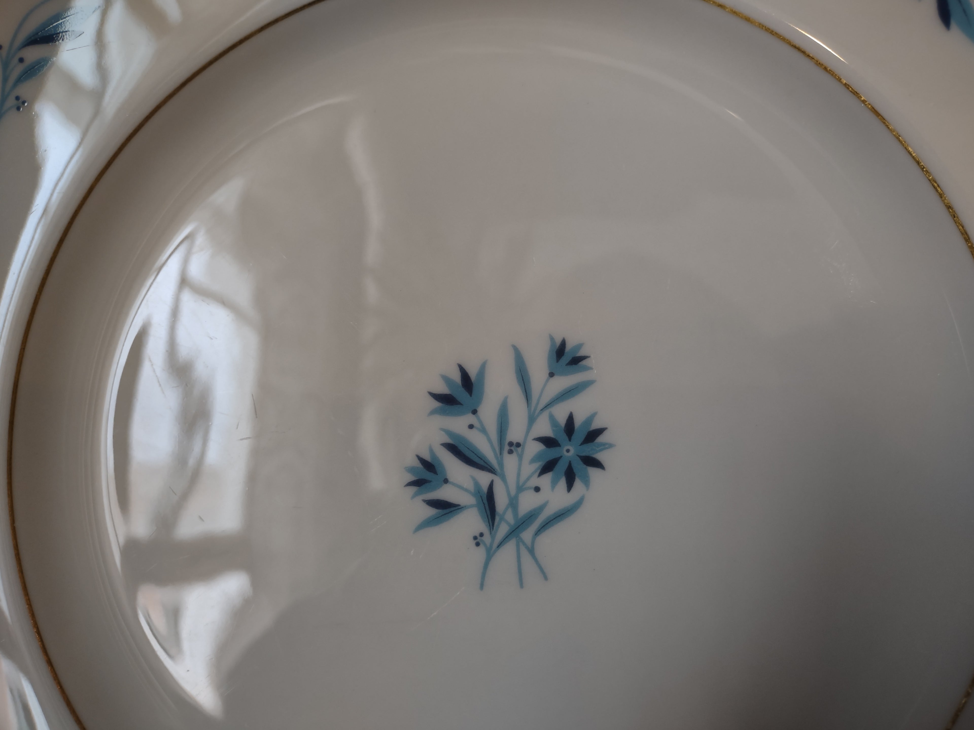 Vintage Lenox Blue Ridge Dinner Plate (lot 1778)