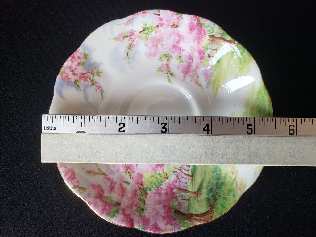 Vintage Royal Albert Bone China Blossom Time Saucer ONLY (lot 2021)