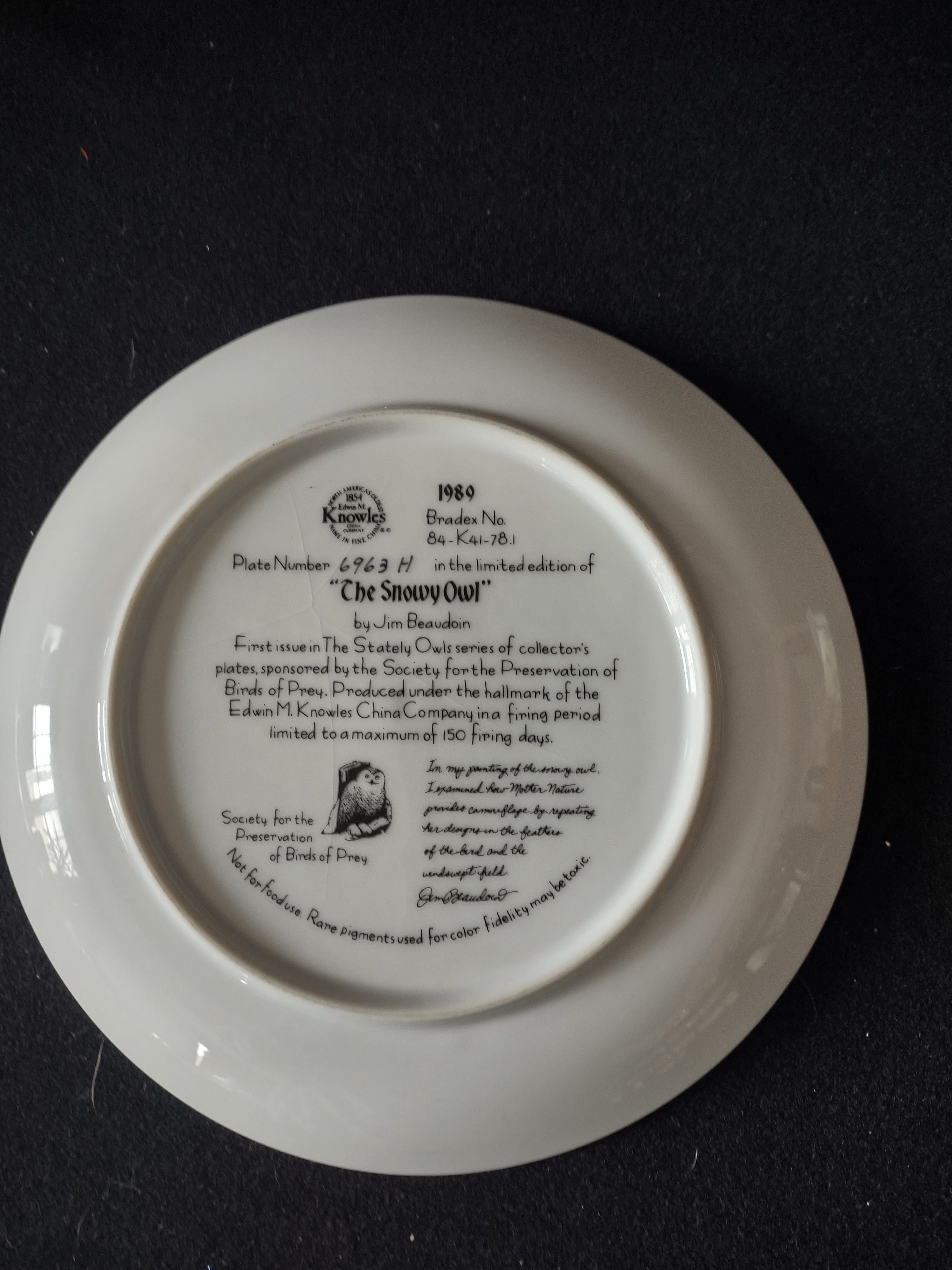 Vintage Knowles Collector Plate 1st Issue The Snowy Owl Stately Owls (Lot 5113)
