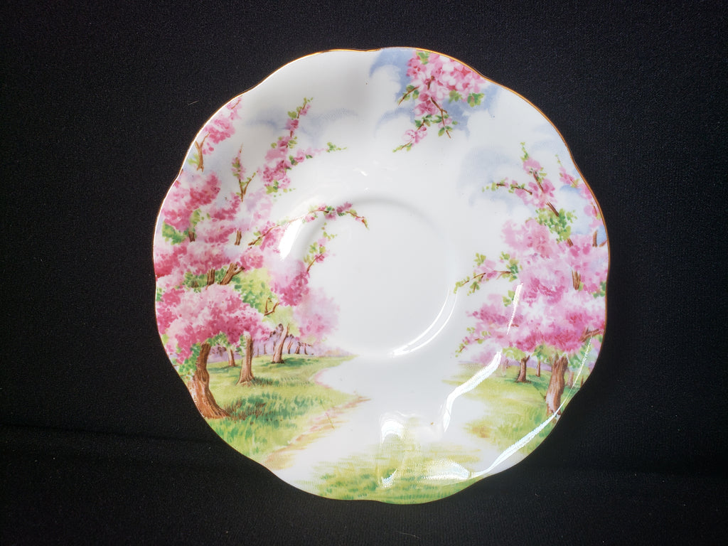 Vintage Royal Albert Bone China Blossom Time Saucer ONLY (lot 2021)