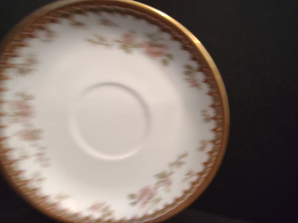 Haviland Limoges French Chic Rose Maroon Green Saucer ONLY (lot 1091)