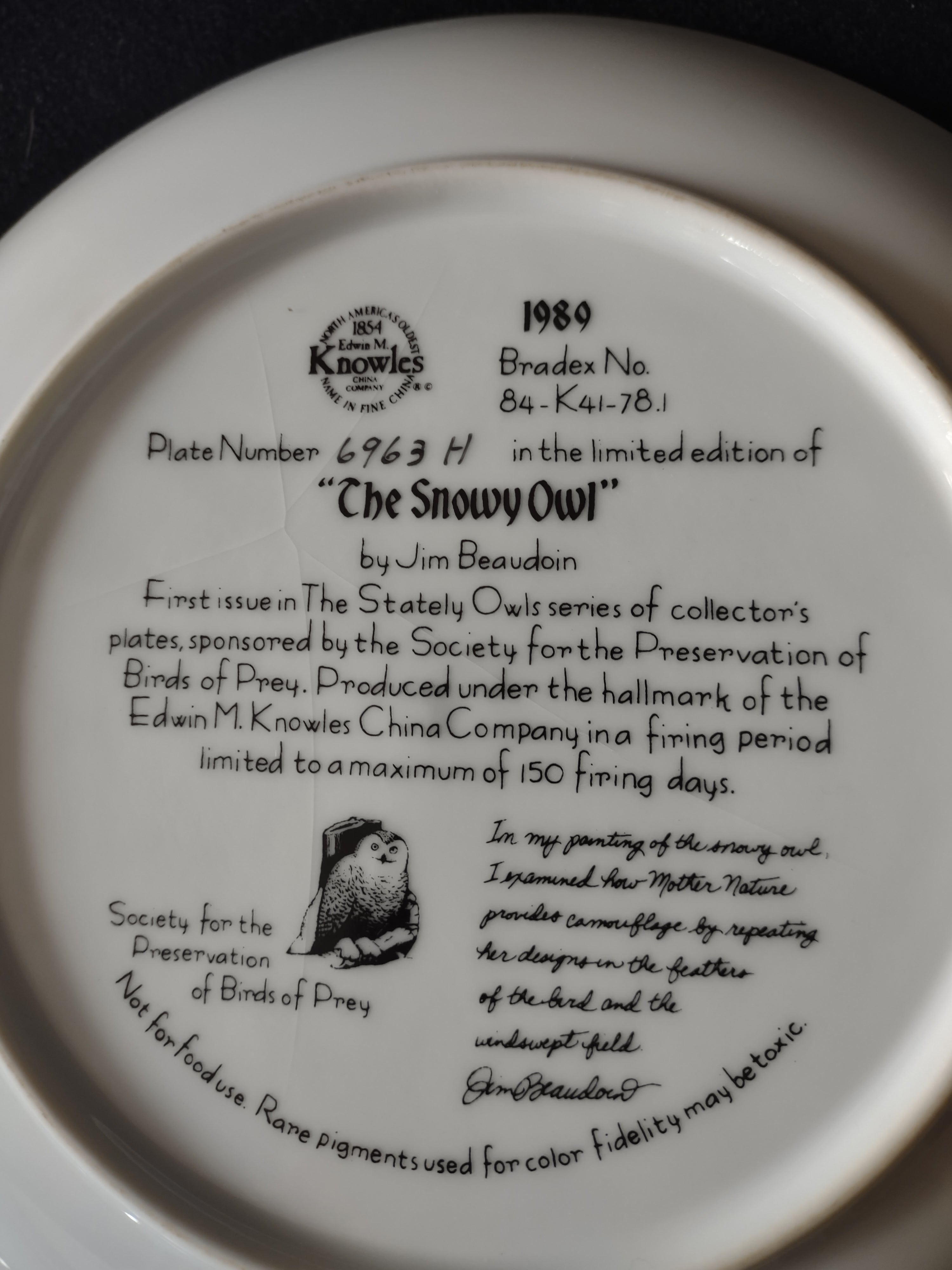 Vintage Knowles Collector Plate 1st Issue The Snowy Owl Stately Owls (Lot 5113)