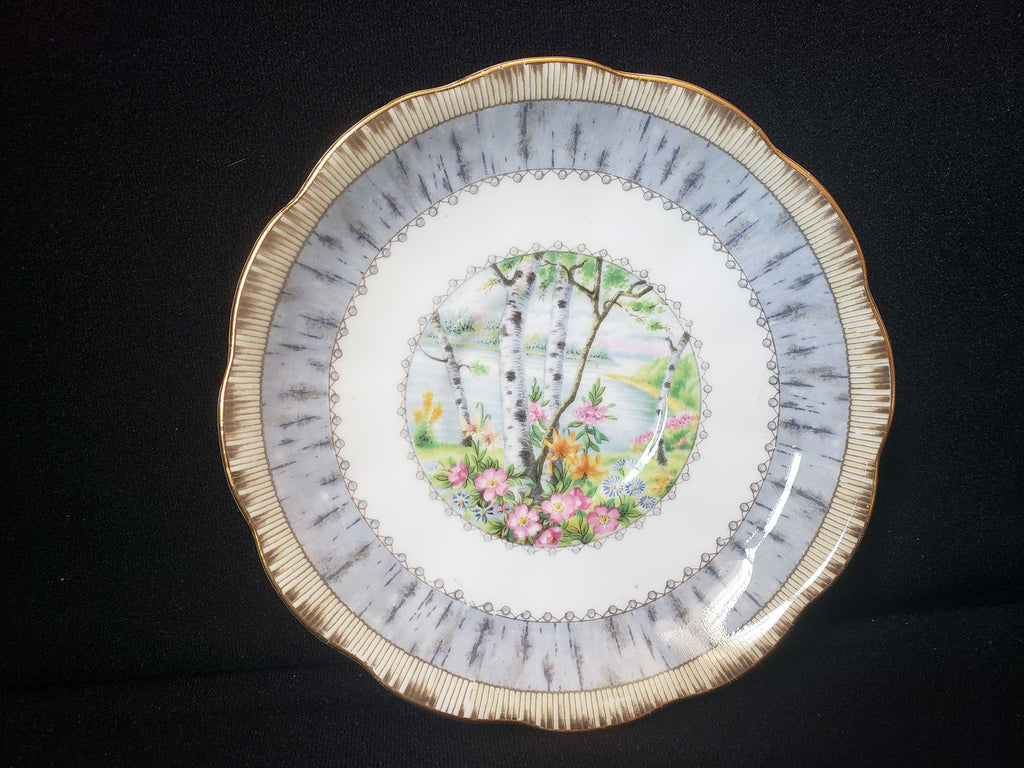 Vintage Royal Albert Bone China Silver Birch Saucer ONLY (lot 2015)