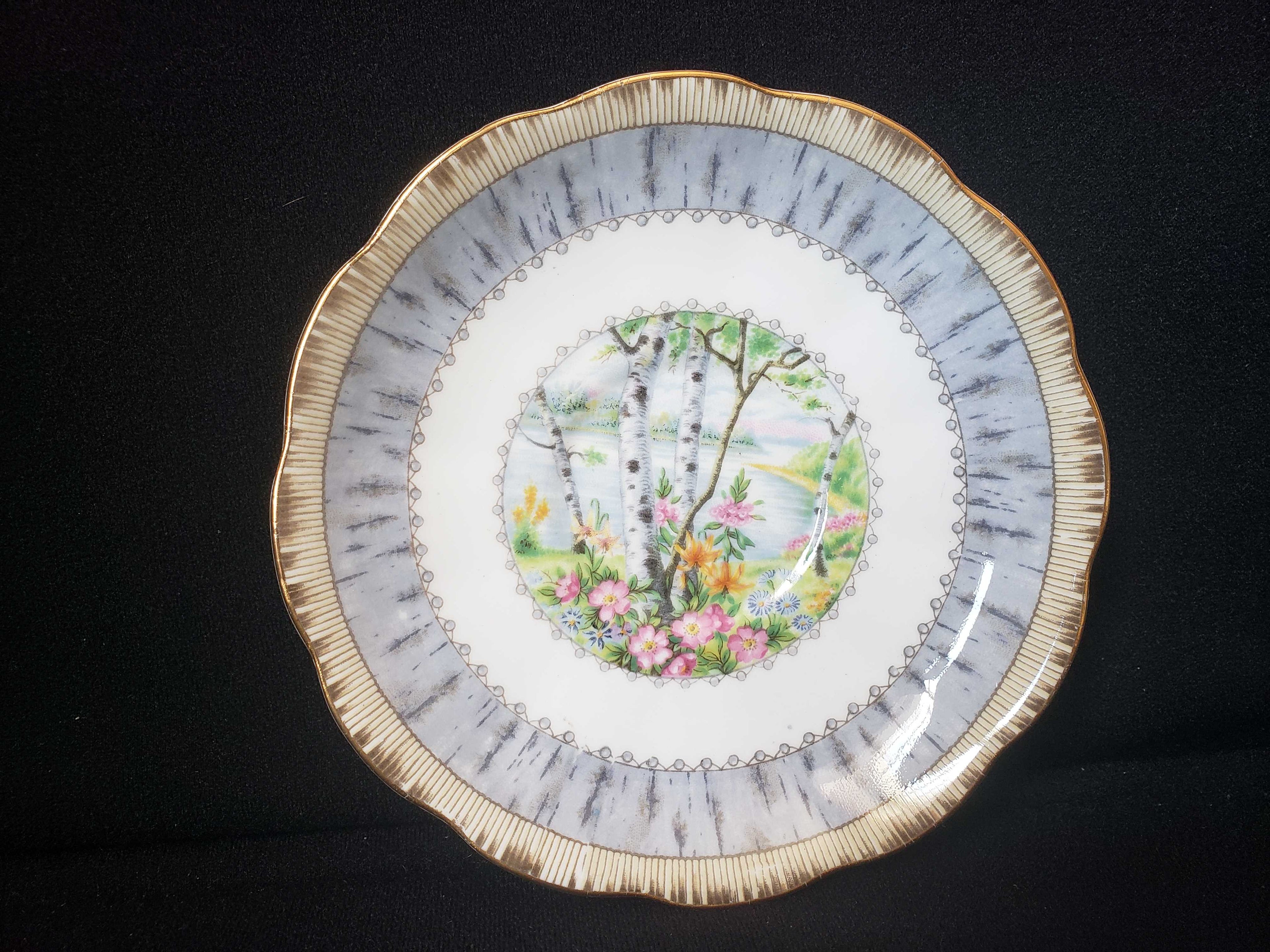 Vintage Royal Albert Bone China Silver Birch Saucer ONLY (lot 2015)