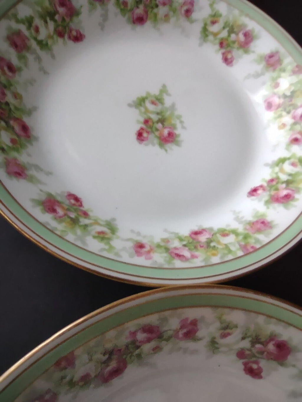 Coronet Limoges France 2 x Soup Plate Mint Band Gold Trim Pink Rose (lot 551)