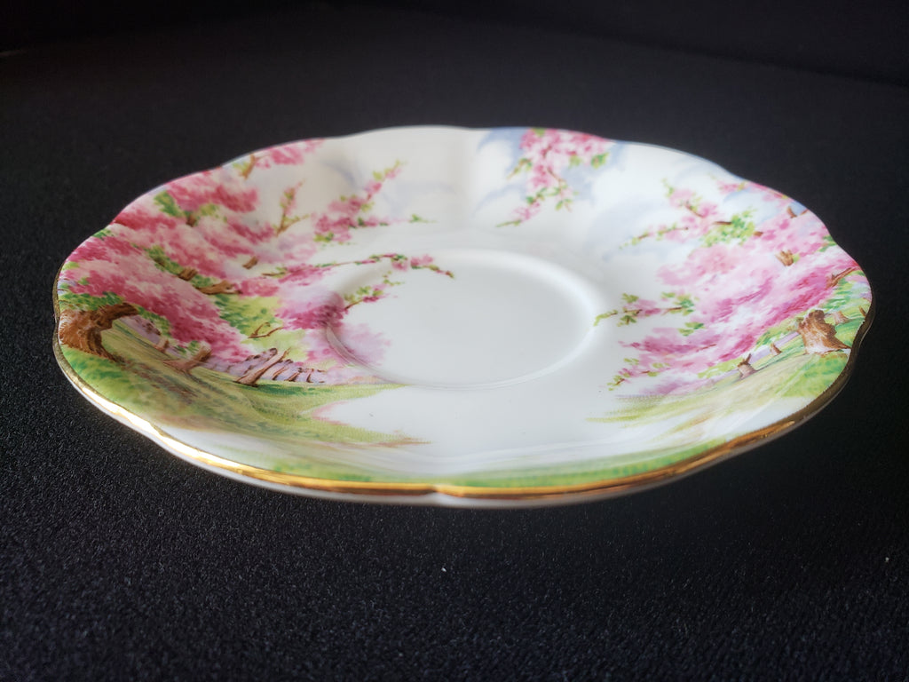 Vintage Royal Albert Bone China Blossom Time Saucer ONLY (lot 2021)