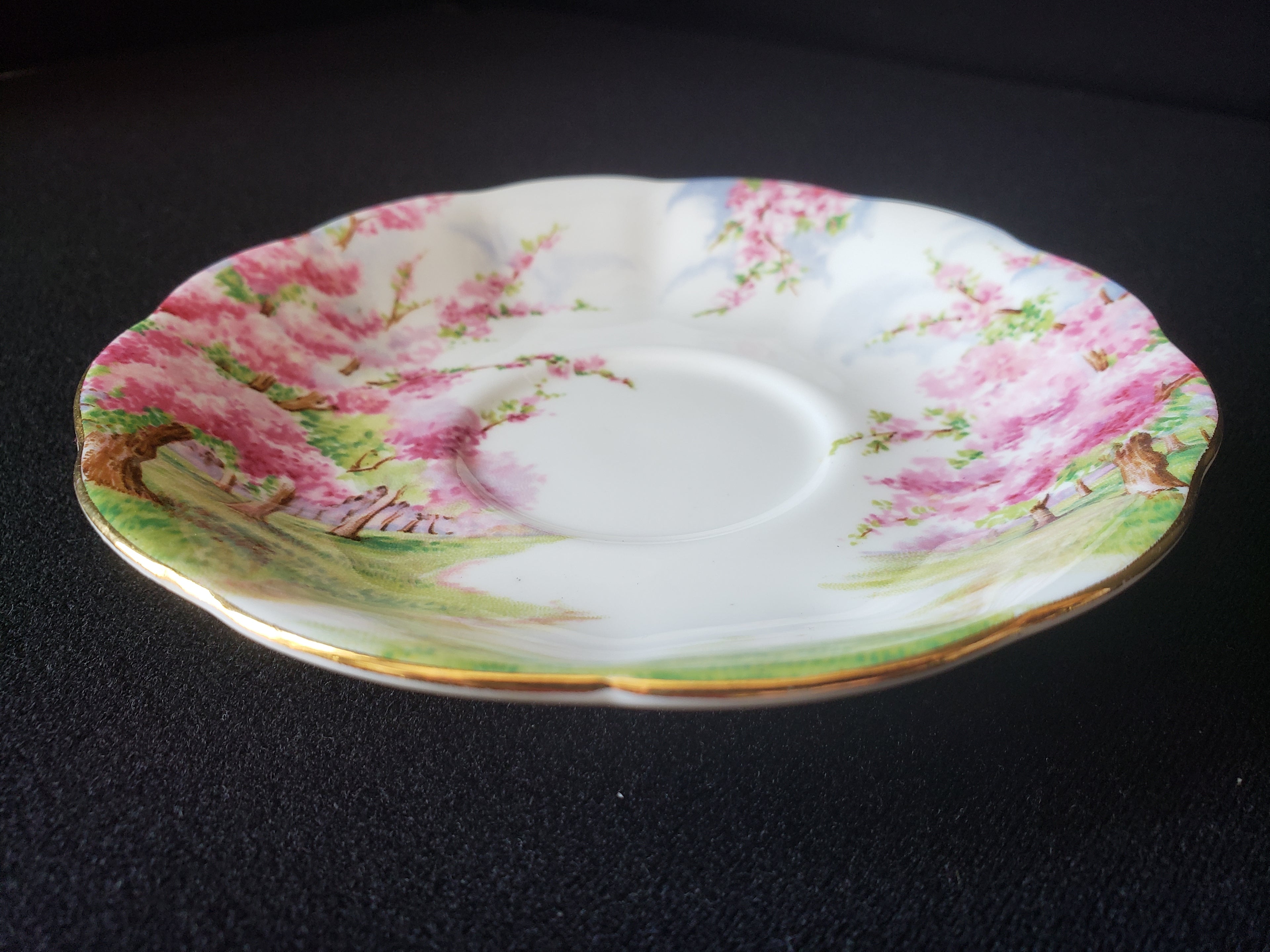 Vintage Royal Albert Bone China Blossom Time Saucer ONLY (lot 2021)