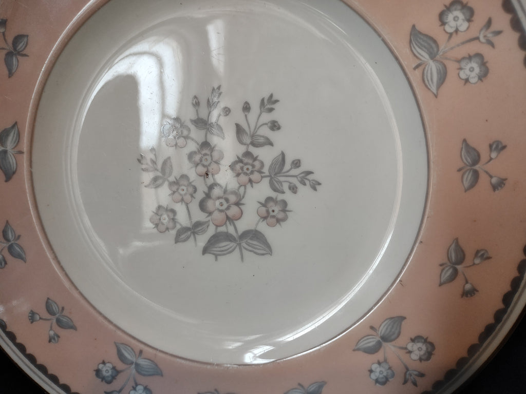 Wedgwood Pimpernel Pink Salad/Dessert Plate 8" Green Stamp (lot 2762)