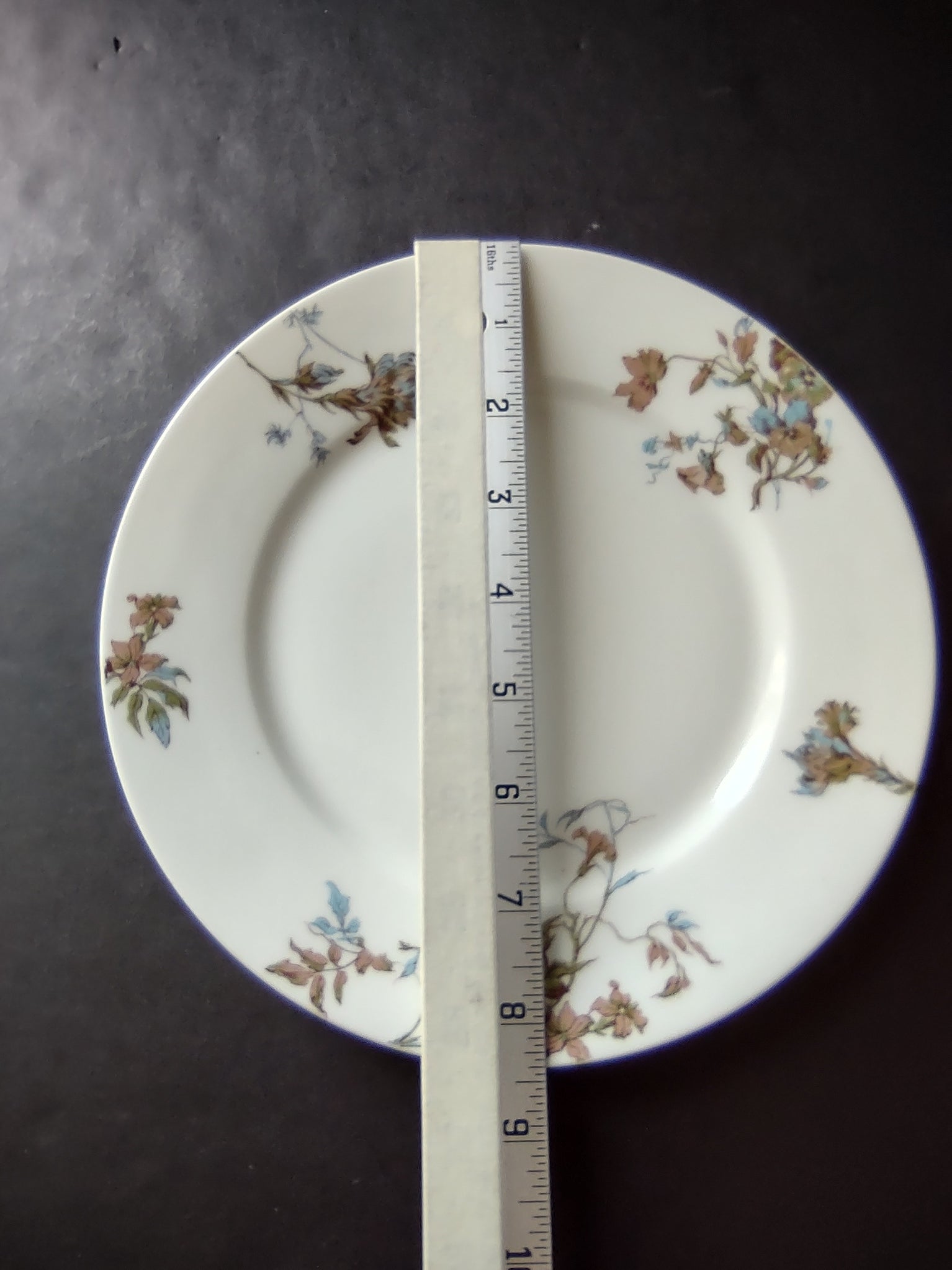 Depose Haviland Limoges Pink Brown Cornflower Luncheon /Salad Plate (lot 968)
