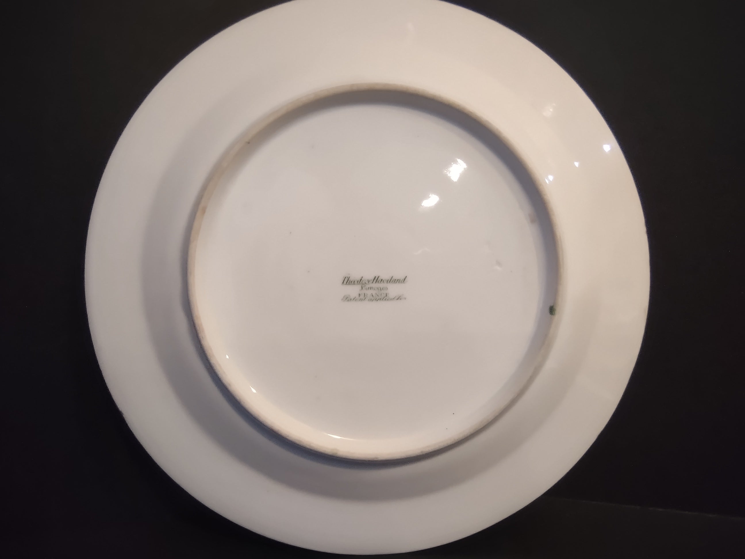 Haviland France Limoges Luncheon Plate Cranberries Christmas (lot 1008)
