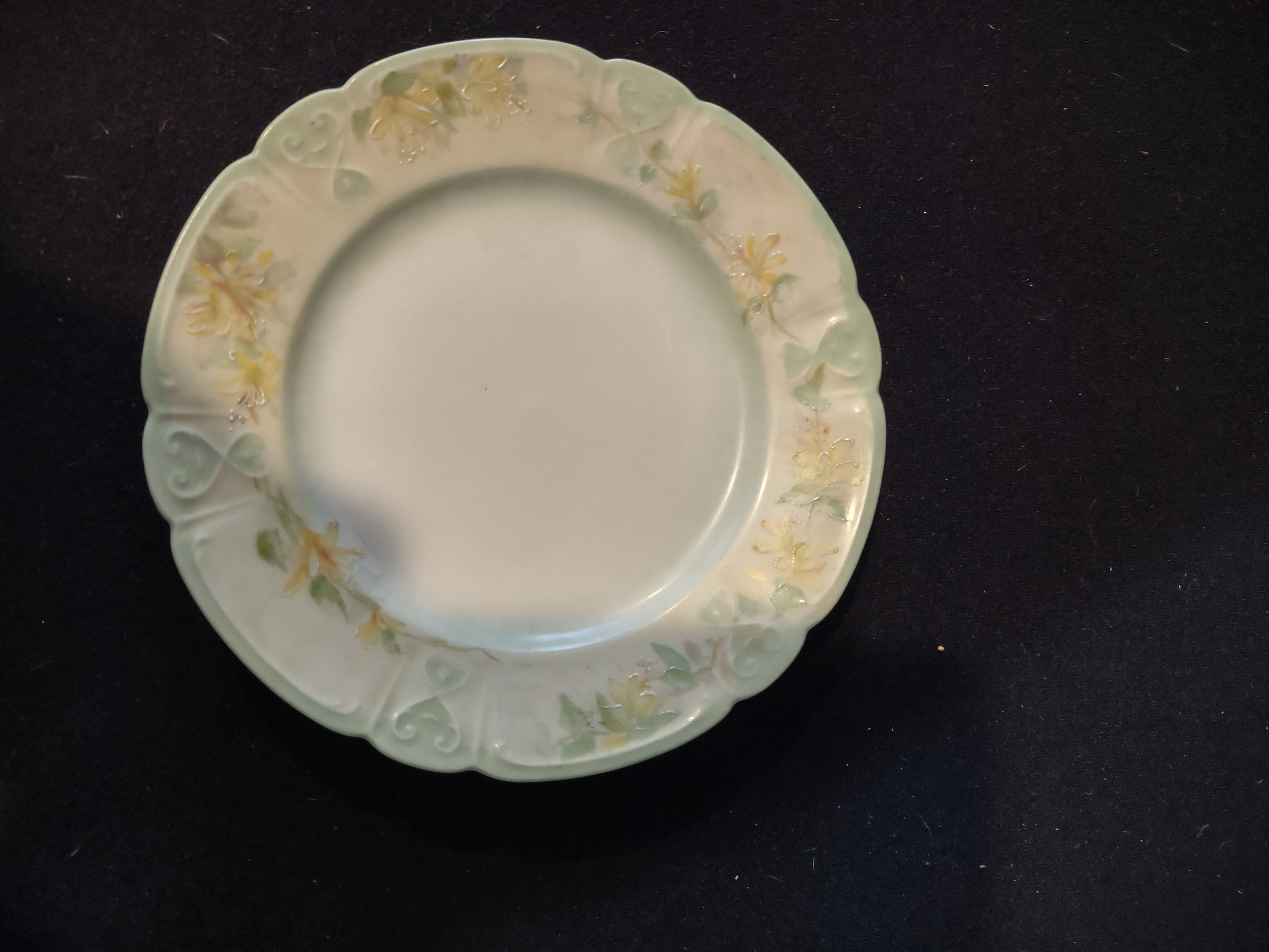 Vintage China 6 " Plate x 2 Floral Pattern Scalloped Green Rim Edge (Lot 5352)