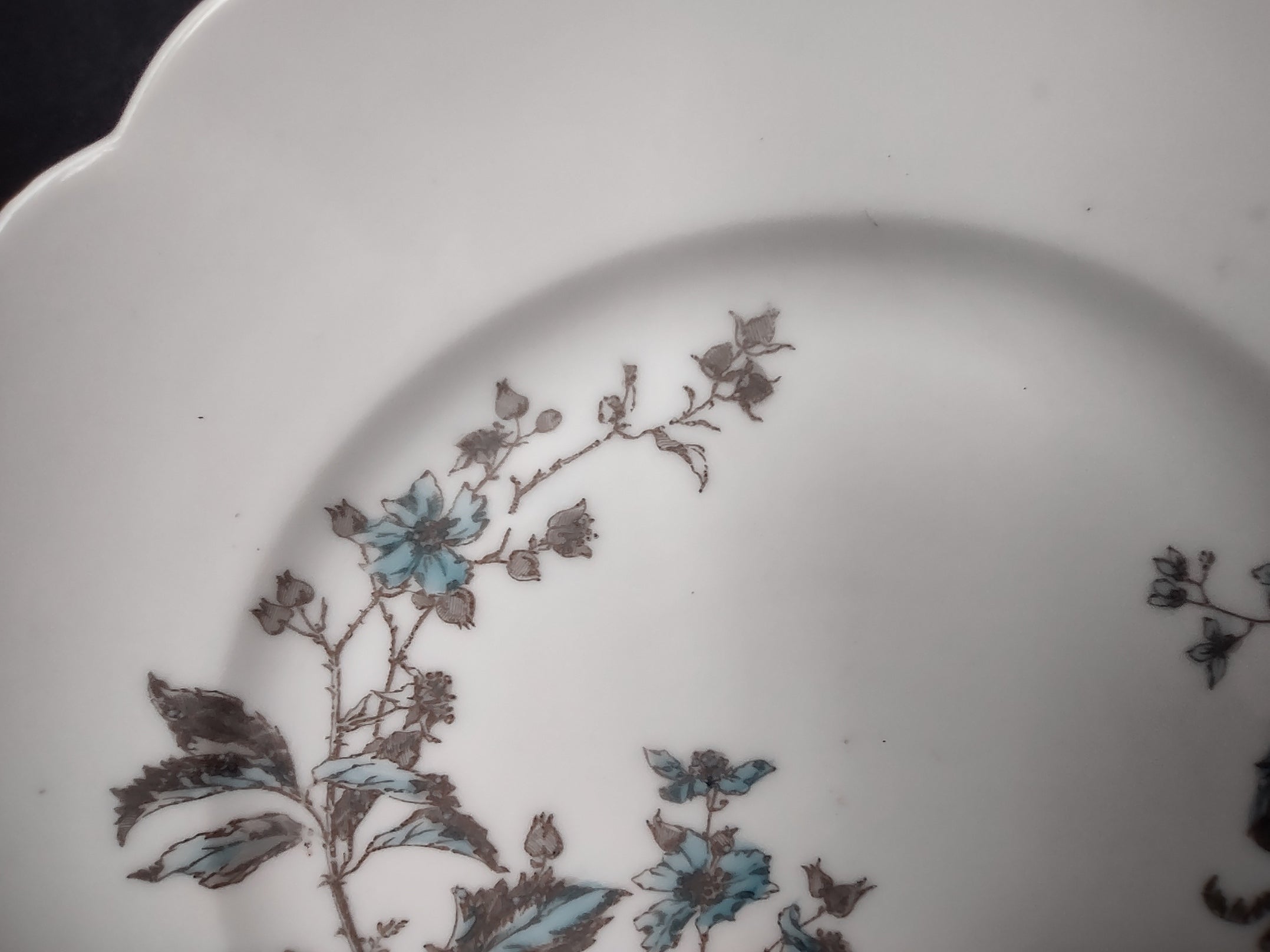 Antique Haviland Limoges Blue Flower Dinner Plate 9-1/2" (lot 959)
