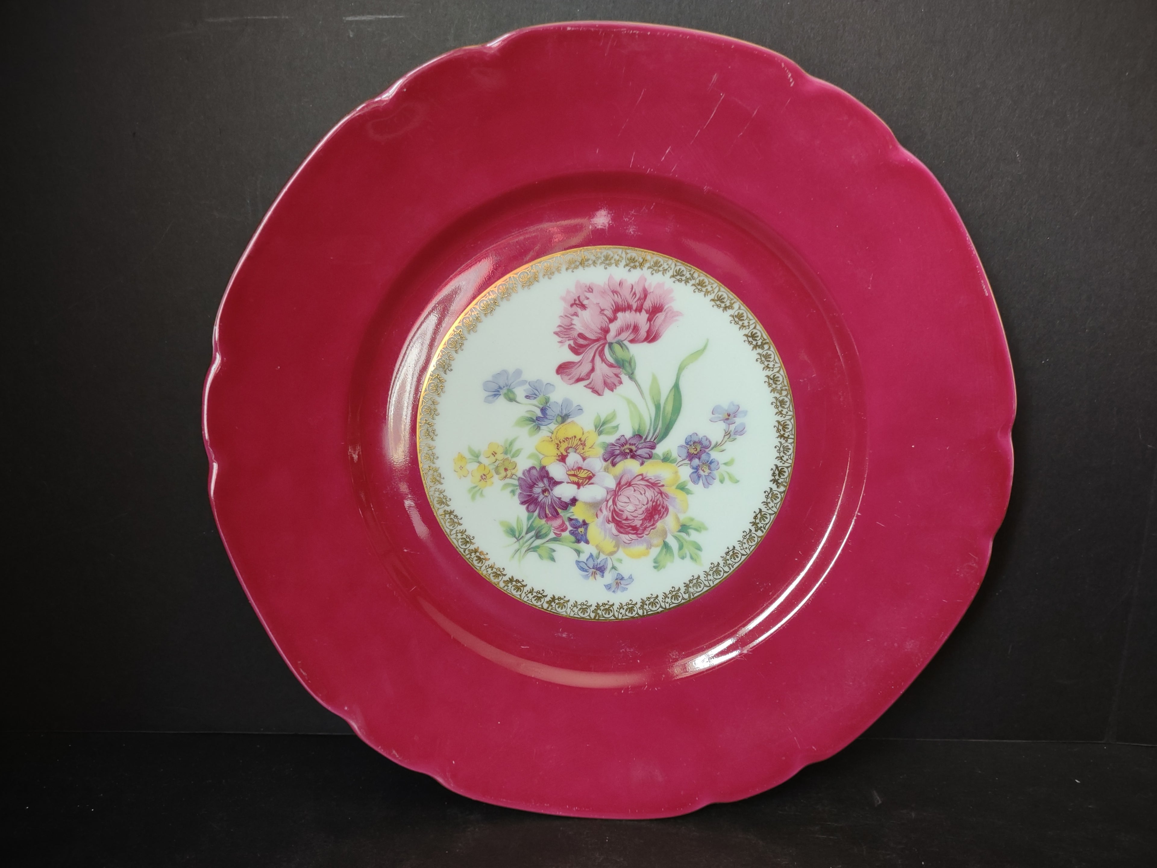 Vintage Czechoslovakia Victoria Maroon Red Dinner Plate Carnation (lot 5646)