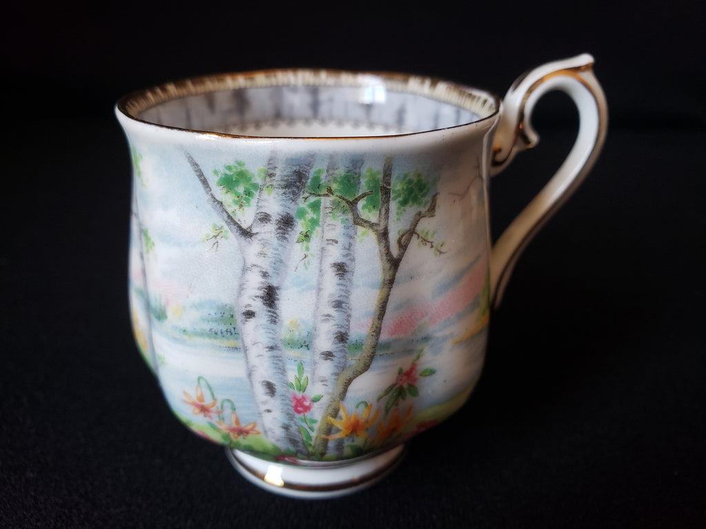 Vintage Royal Albert Silver Birch Demitasse Cup ONLY (lot 2030)