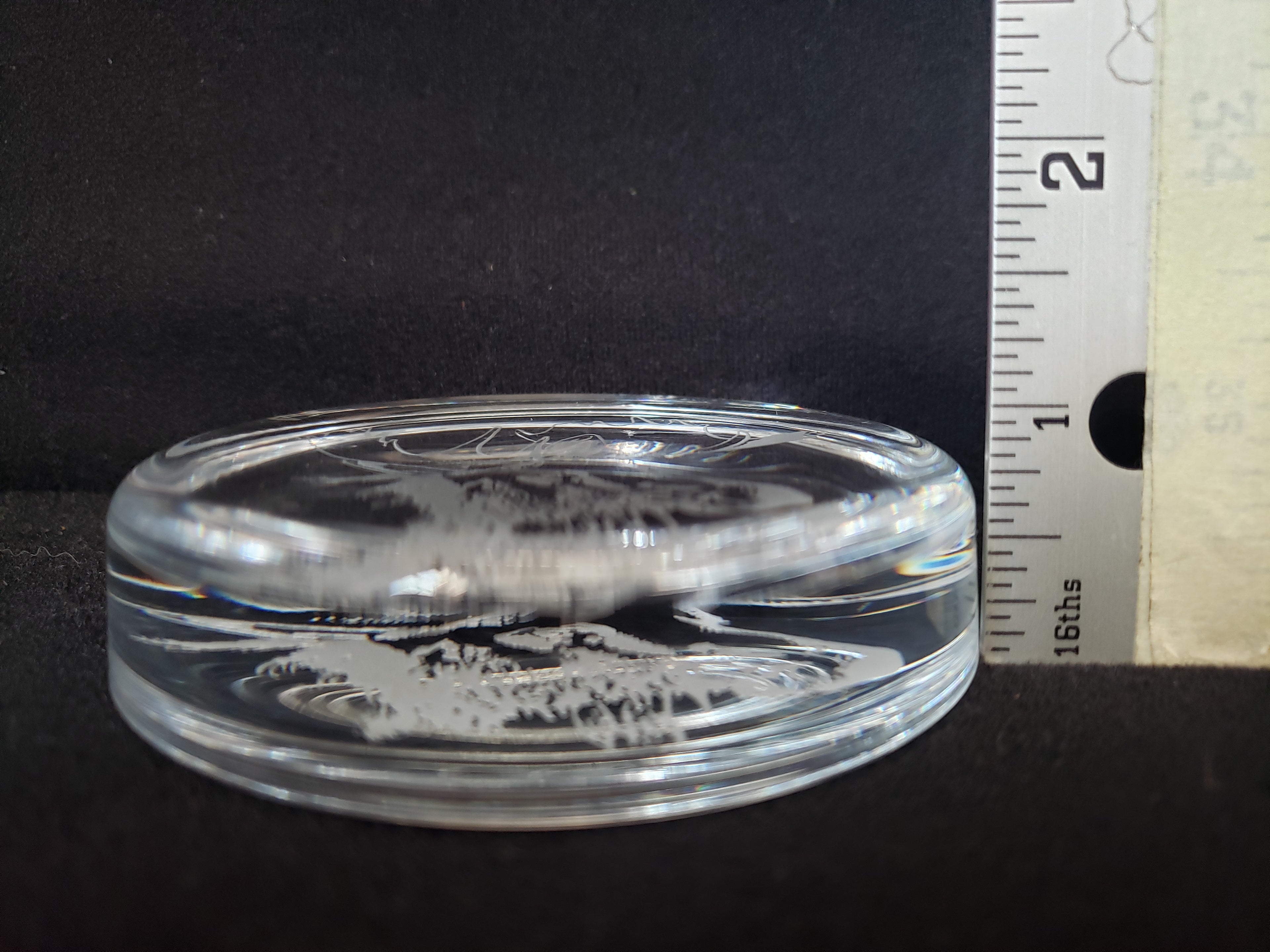 Moose Coaster Paper Weight Glass 3-3/8" (lot 2221)