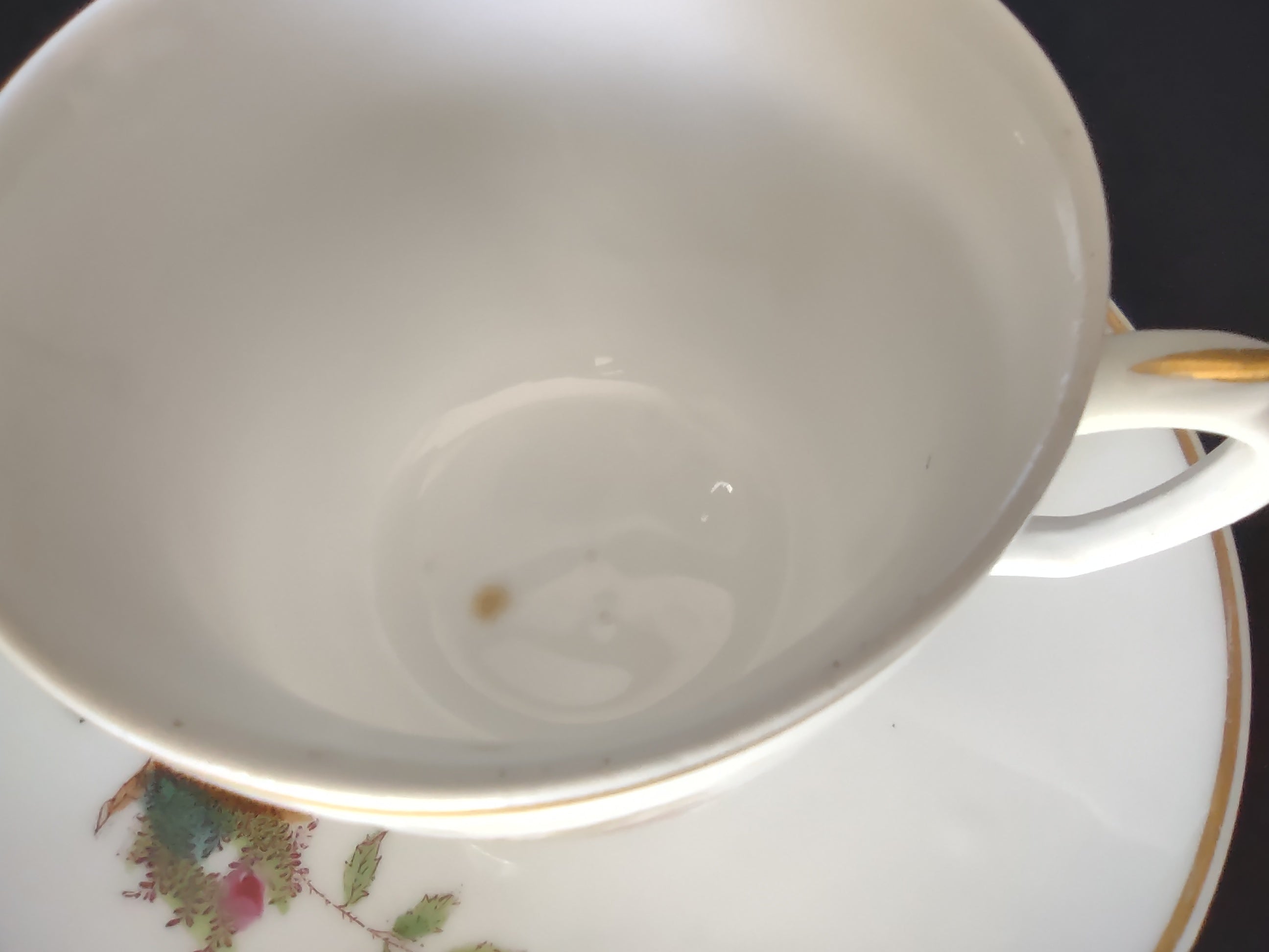 Haviland Limoges Tea Cup Saucer Moss Rose (lot 1056)