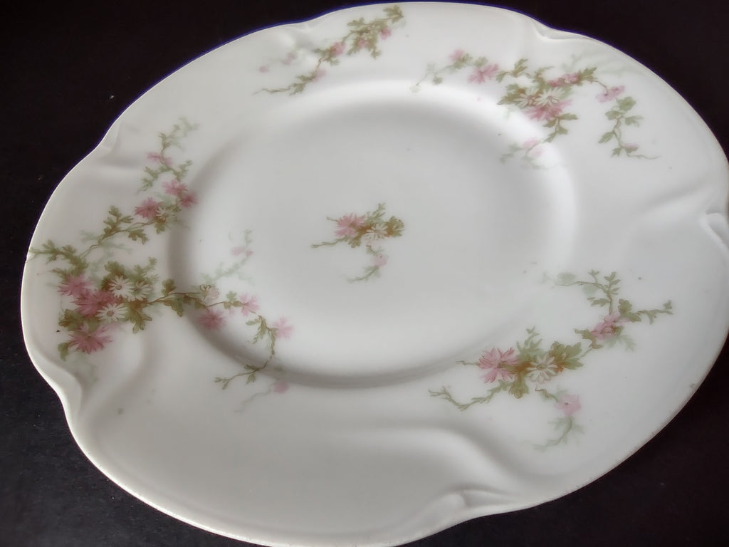 Haviland Limoges Bread Butter Plate Pink Thistle & Daisy (lot 881)