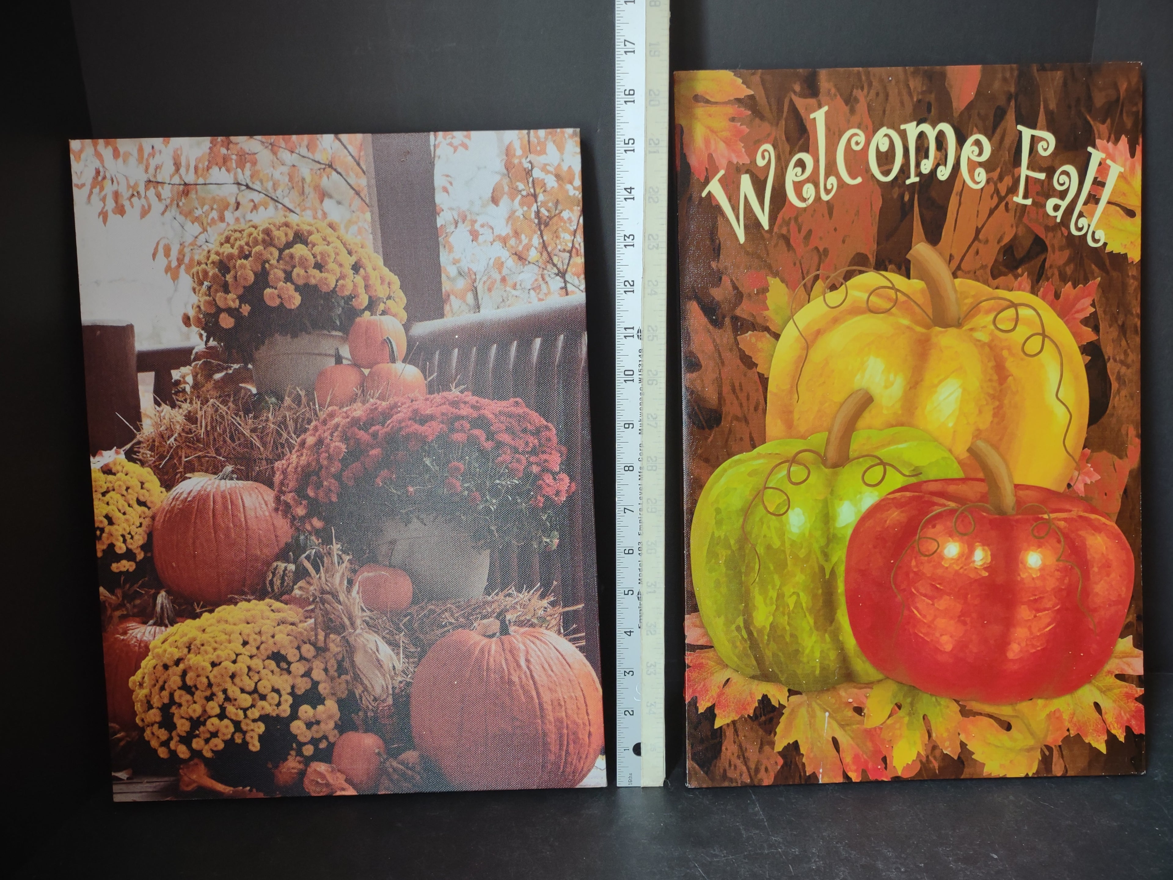 Thanksgiving Fall Picture Wall Decor Pumpkin Mums ONE Lights Up (lot 3096)