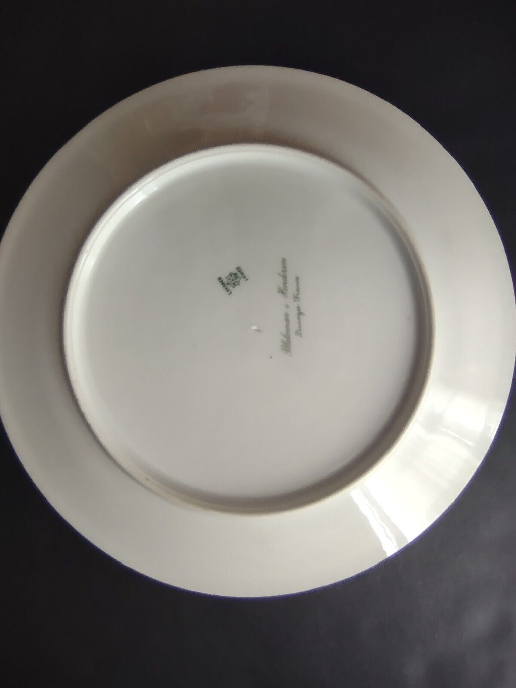 Limoges Raised Gold Trim Salad Luncheon Plate Seafoam Green (lot 632)