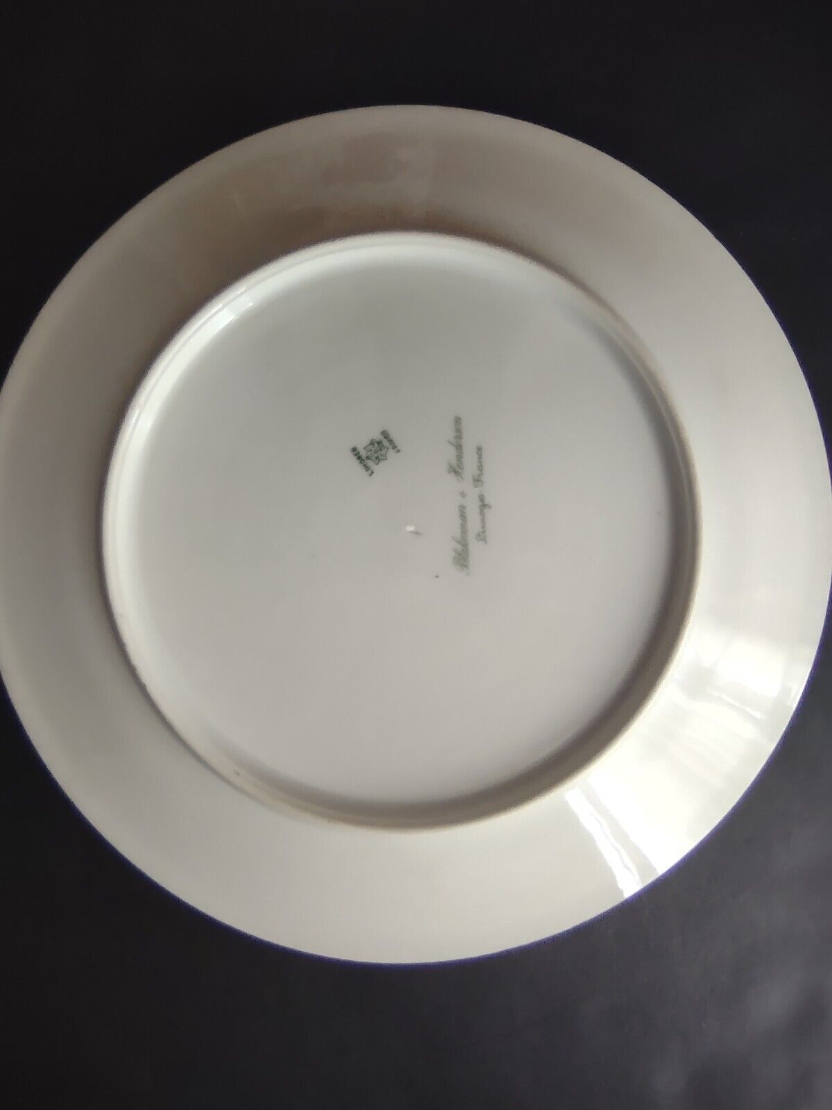 Limoges Raised Gold Trim Salad Luncheon Plate Seafoam Green (lot 632)