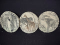 Shapes of Clay Set of 3 Mount St. Helen's Ash Elephant Zebra Giraffe (lot 2373 )
