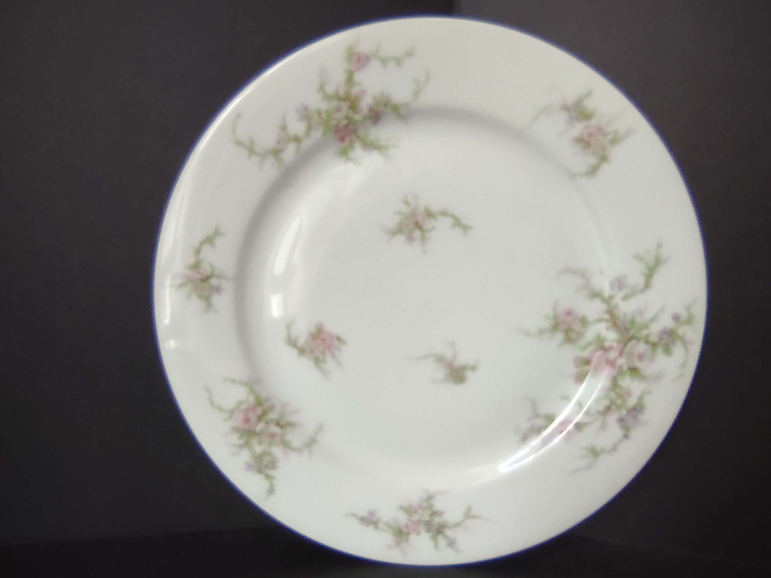 Haviland Limoges Dinner Plate 9-3/4" Pink White Cabbage Rose Moss (lot 909)