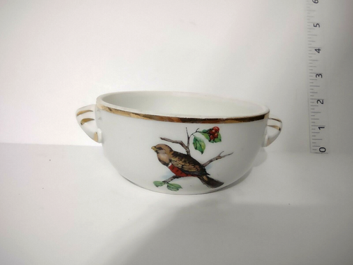 041 Vintage Collectible Pivilite Porcelain French Dish Bowl with Birds