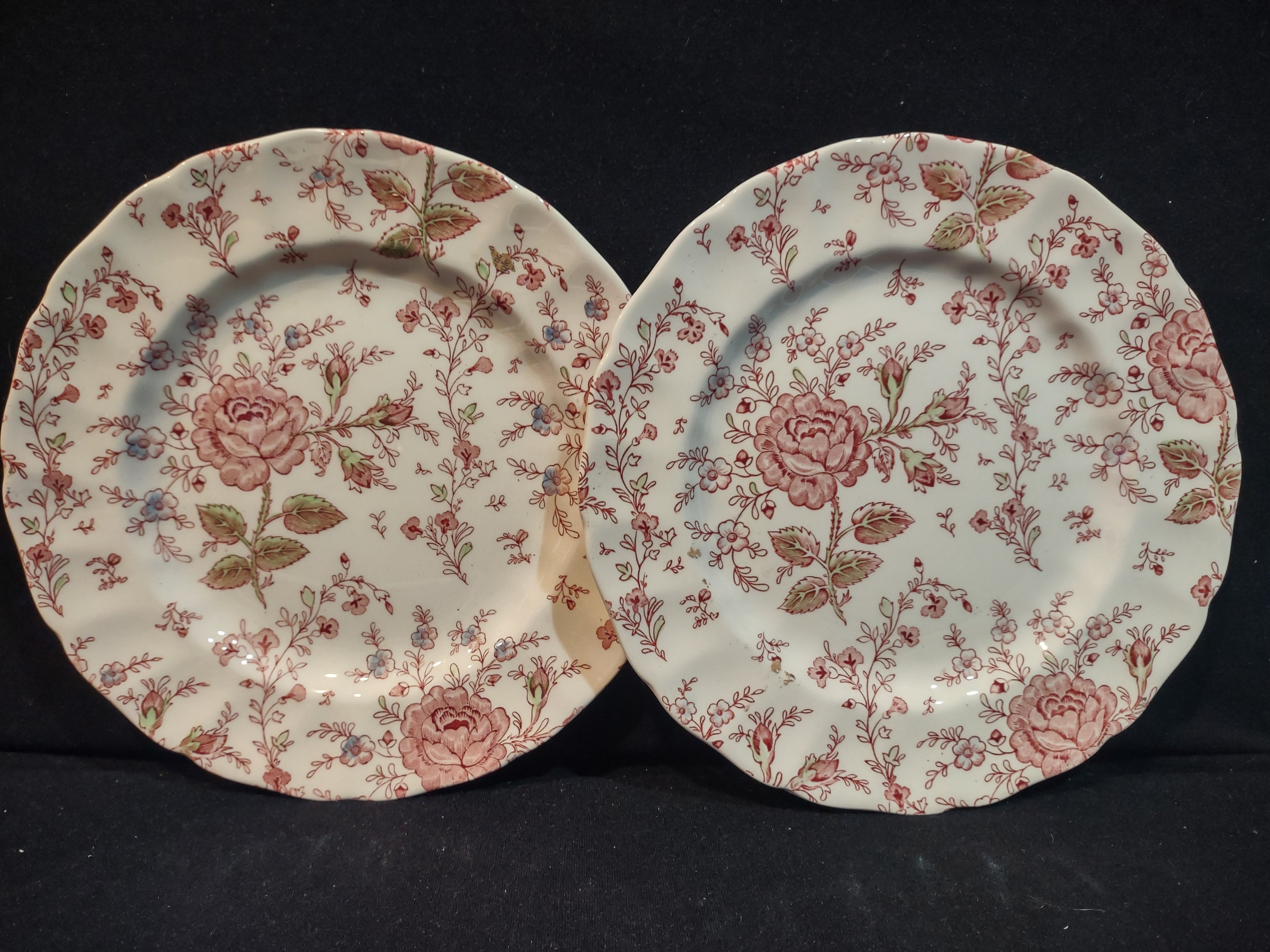 Vintage Dinner Plate x 2 Rose Chintz Johnson Bros Black Stamp (lot 5694)