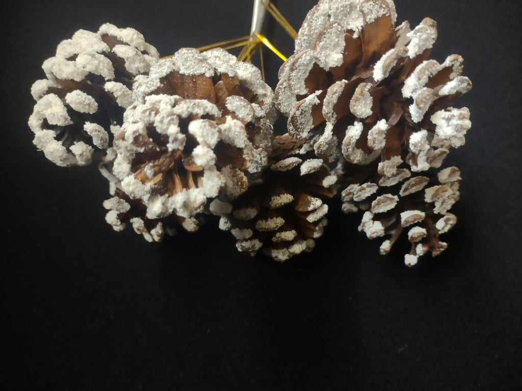 Lot of 12 Pine Cones Christmas Tree Ornament (lot 1683)