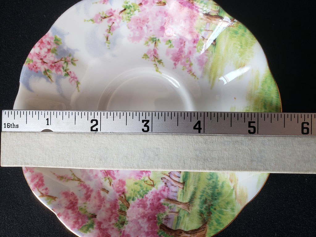 Vintage Royal Albert Bone China Blossom Time Saucer ONLY (lot 2021)