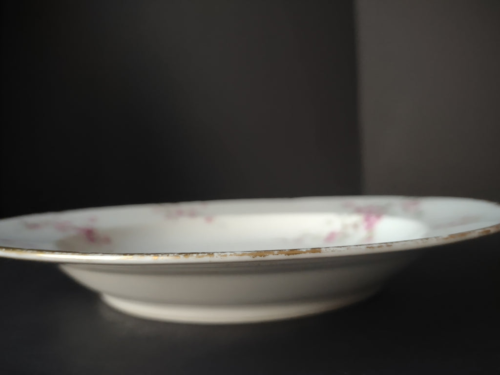 Haviland France Limoges Soup Plate 9-1/2" Pink Floral Gold Trim (lot 1006)