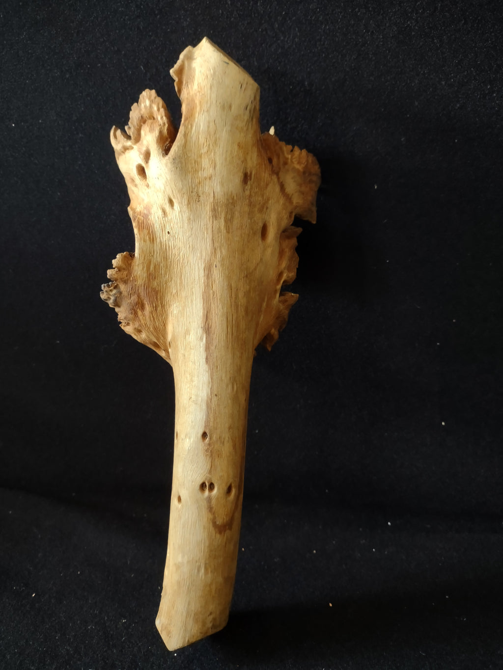 Craft Driftwood about 11" Long (lot 5383)