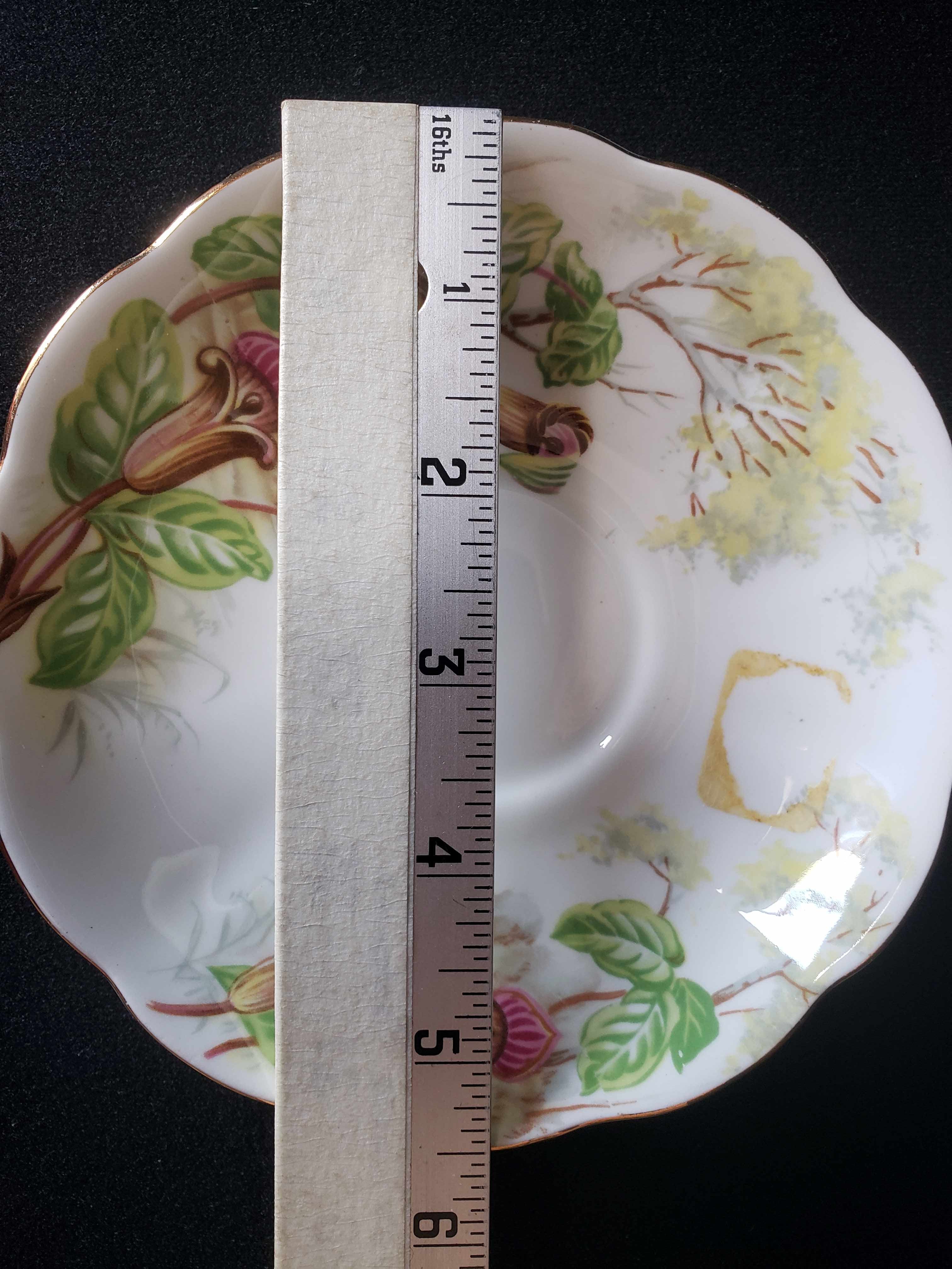 Vintage Royal Albert Bone Jack-in-a-Pulpit Saucer ONLY (lot 2011)