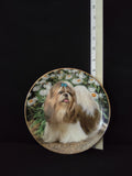 Vintage Danbury Mint Plate Shih Tzu Picture Perfect Simon Mendez (Lot 4017