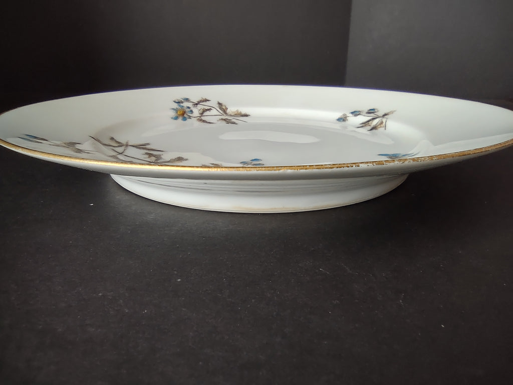 CFH GDA Haviland Limoges Luncheon/Salad Plate Blue Daisy Rustic Cottage (lot 982