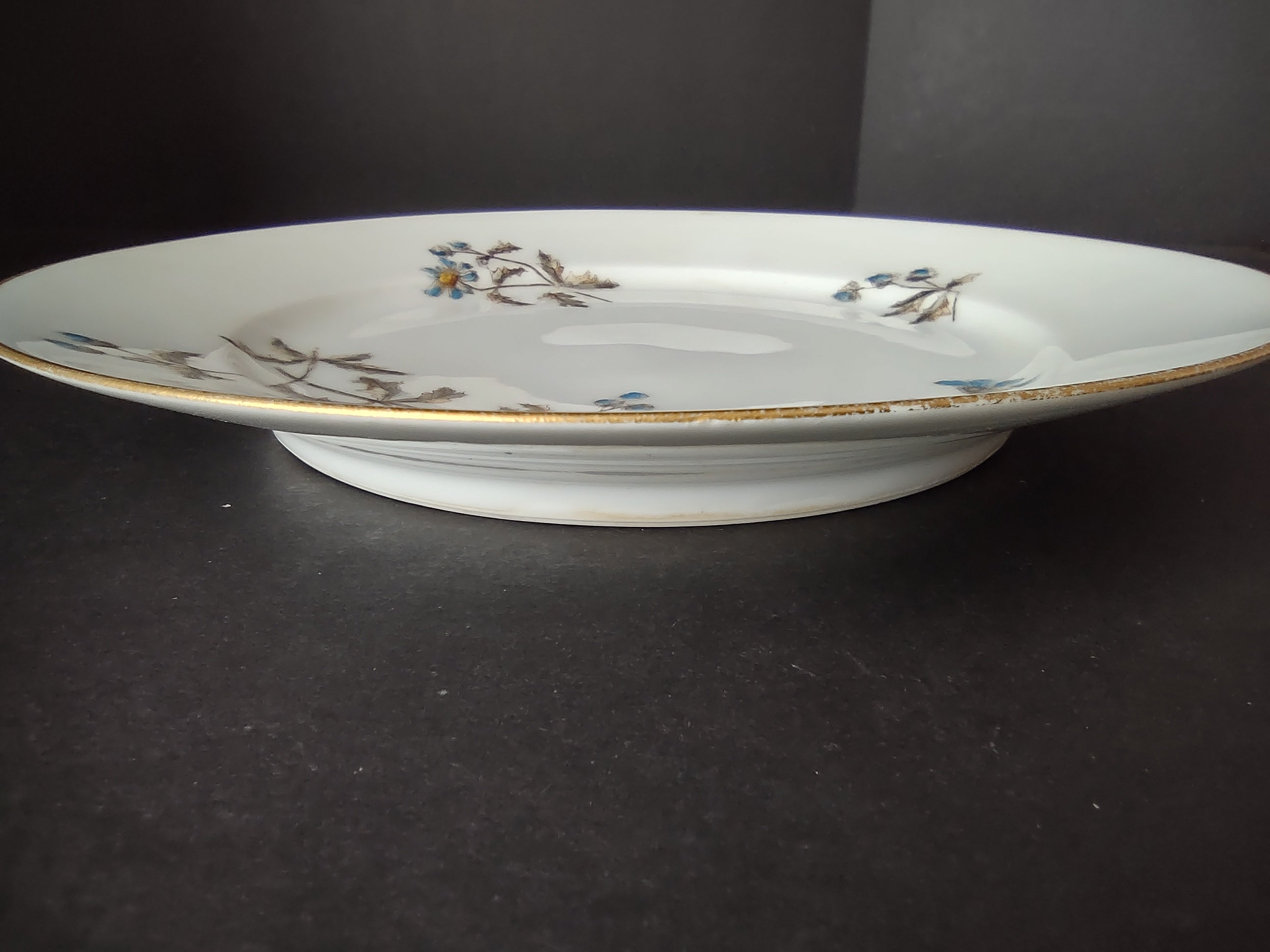 CFH GDA Haviland Limoges Luncheon/Salad Plate Blue Daisy Rustic Cottage (lot 982