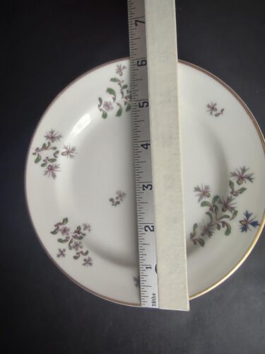 lot 762 Haviland Limoges 5 x Bread Butter Plate Blue Flowers
