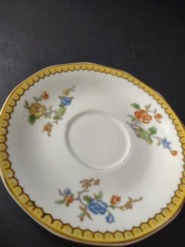 Haviland Limoges Eden 5-3/4" Saucer ONLY Gold Trim Parrot ( lot 778)