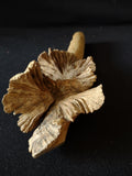 Craft Driftwood about 11" Long (lot 5383)