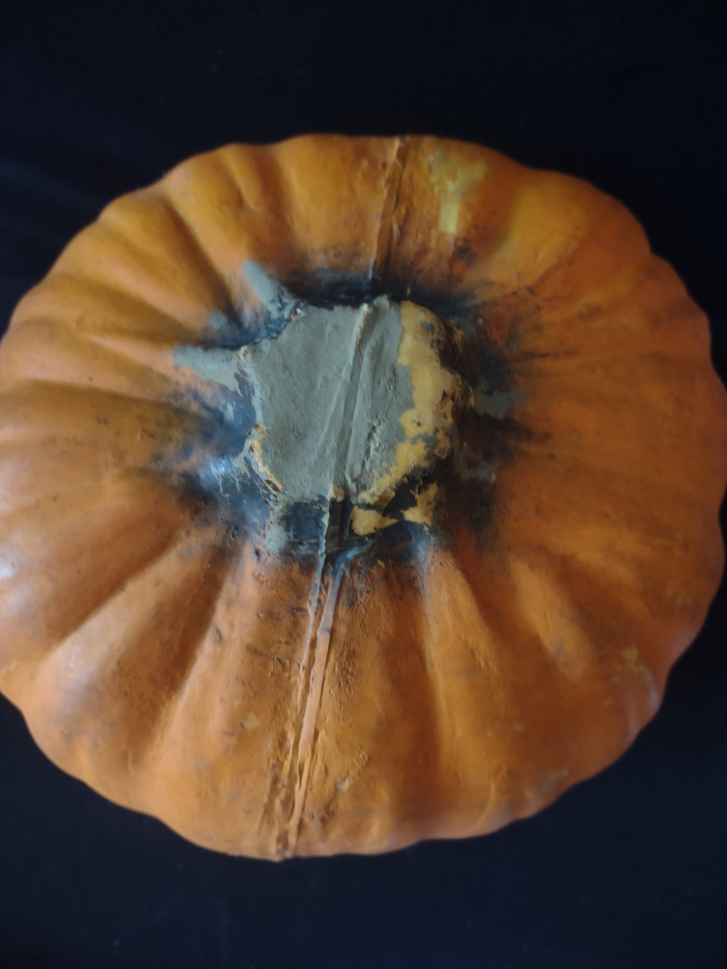 Halloween Lighted Foam Jack O Lantern Pumpkin With Spider (Lot 3395)