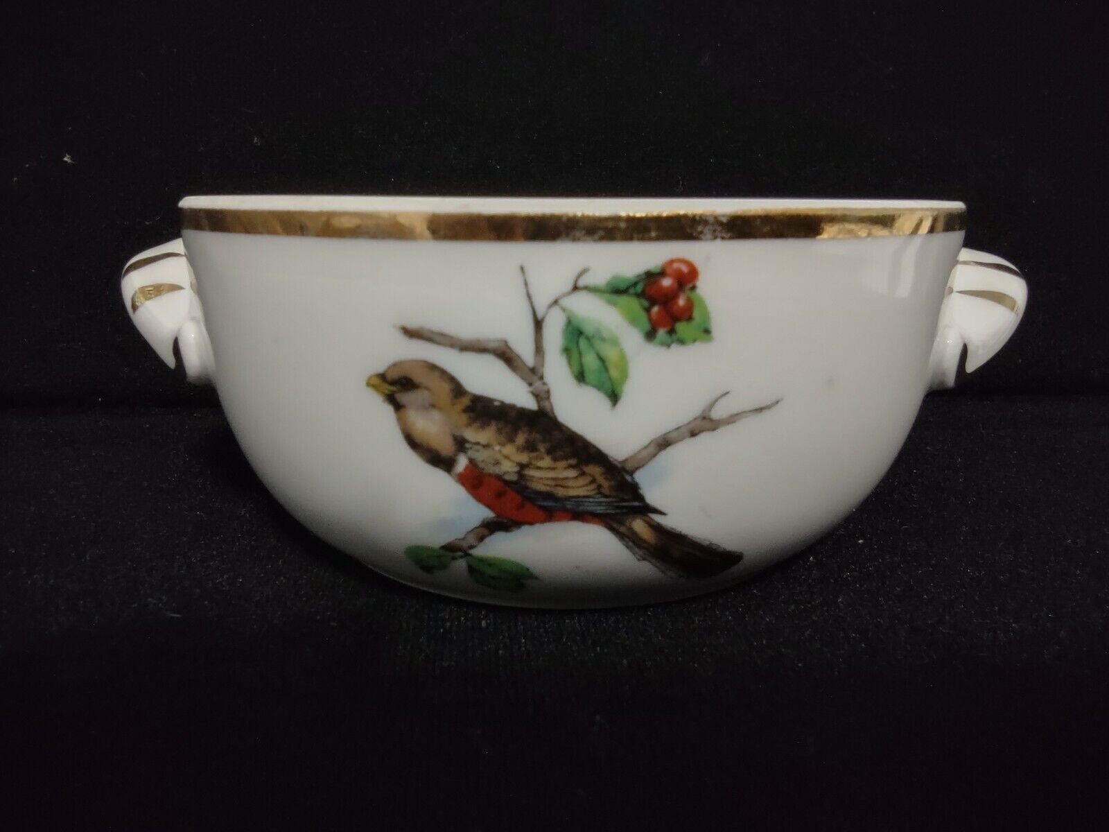 041 Vintage Collectible Pivilite Porcelain French Dish Bowl with Birds