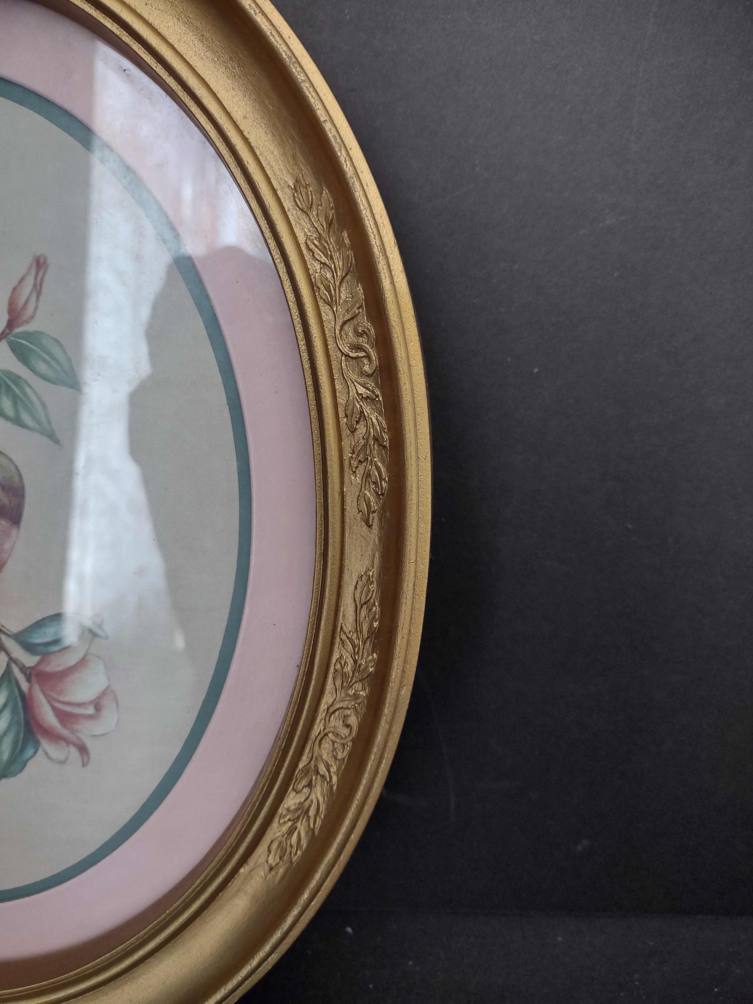 Vintage Homco Home Interiors Oval Bird Flowers Print Picture (lot 2582c)