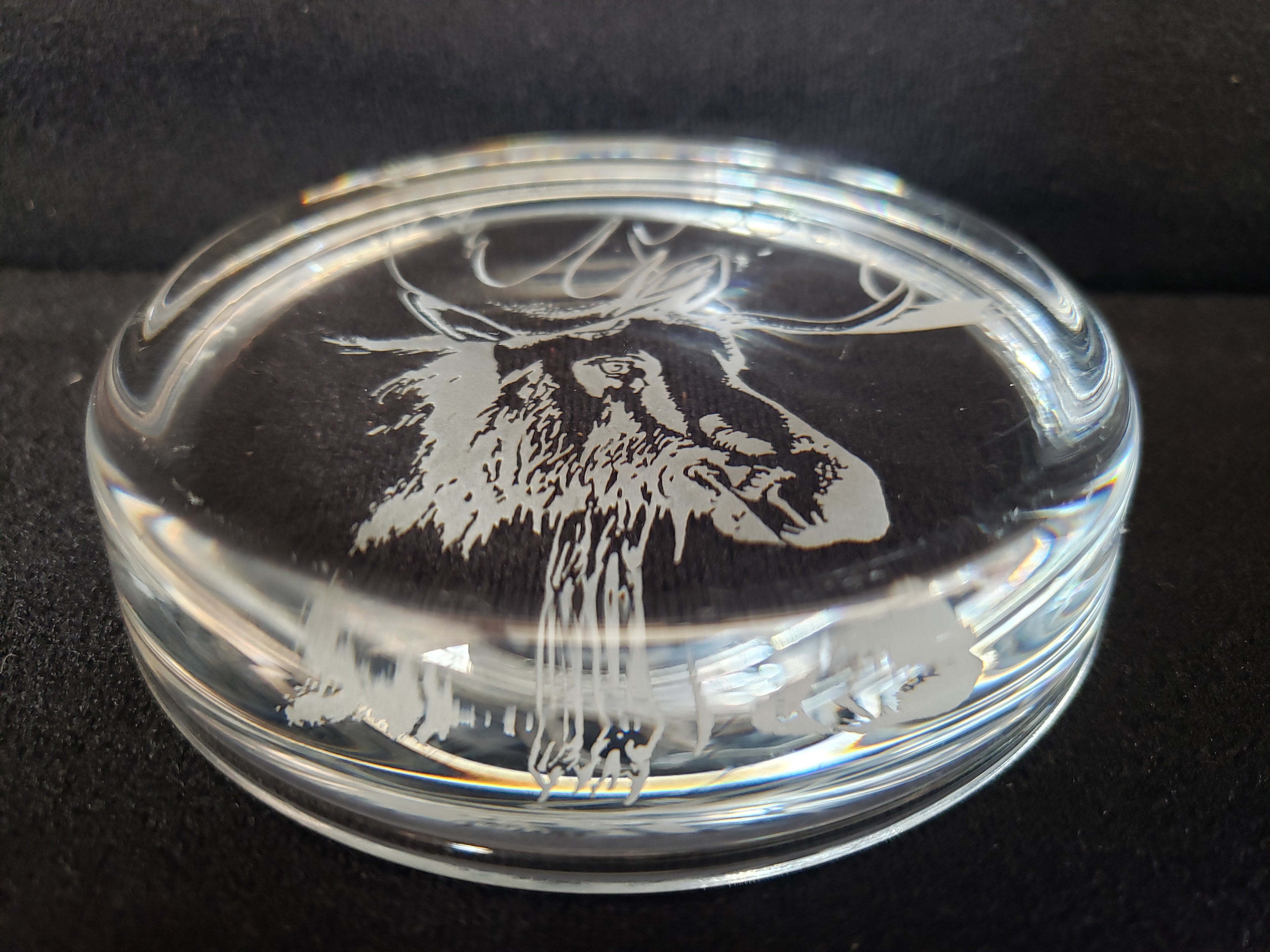 Moose Coaster Paper Weight Glass 3-3/8" (lot 2221)