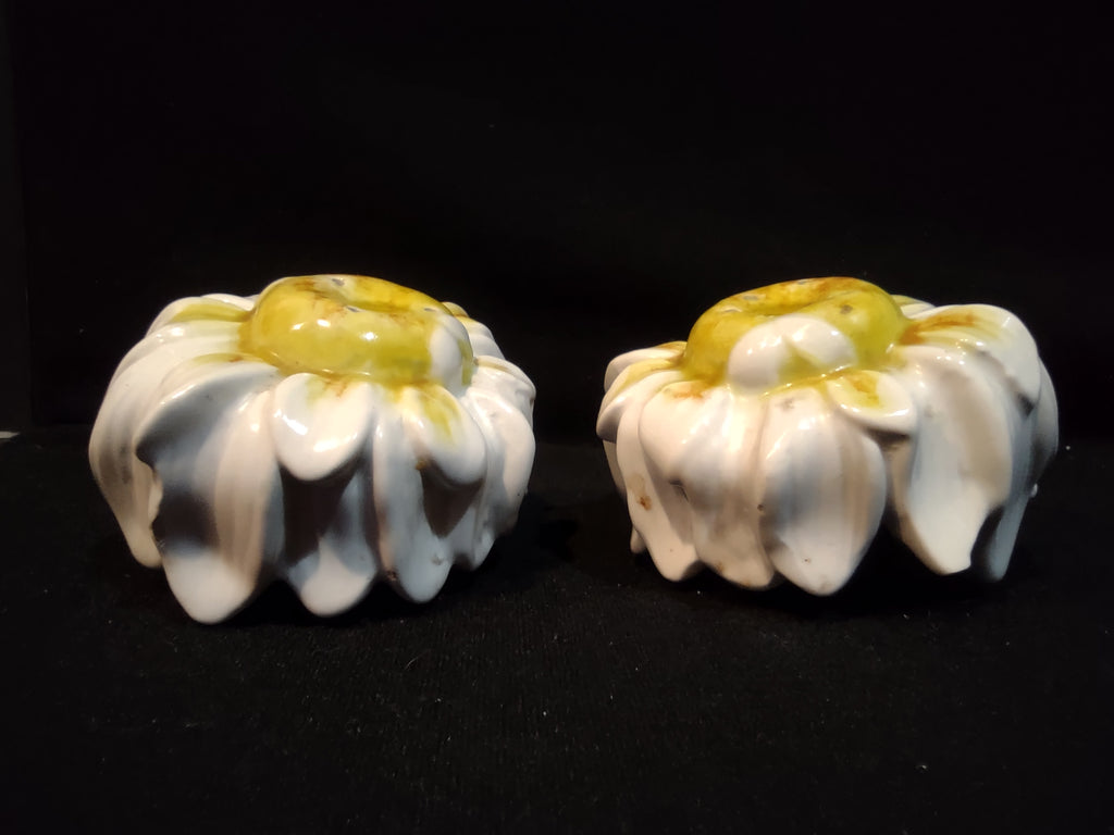 Vintage Salt and Pepper Shaker Ceramic Daisy Made in Italy (lot 5376)