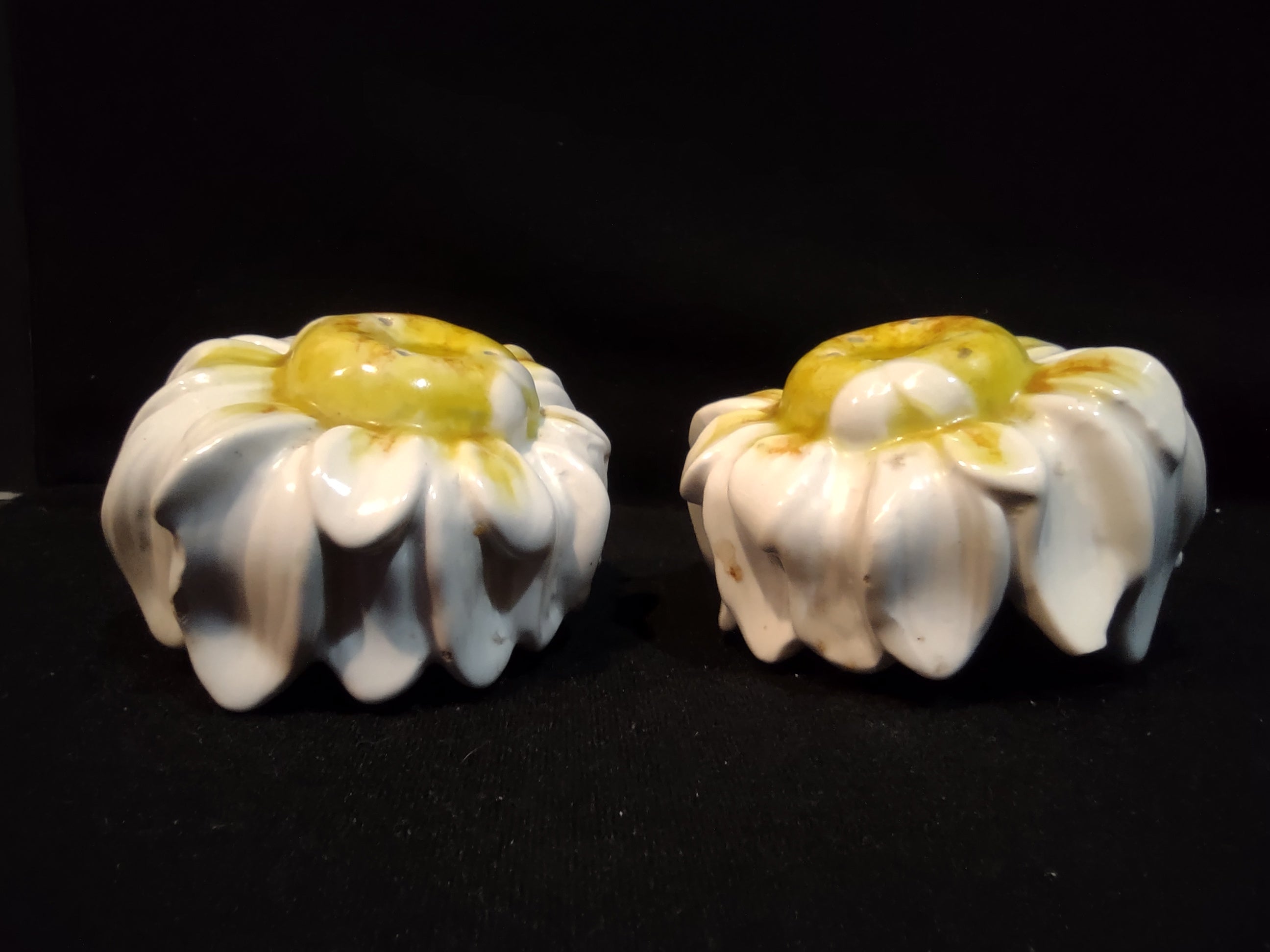 Vintage Salt and Pepper Shaker Ceramic Daisy Made in Italy (lot 5376)