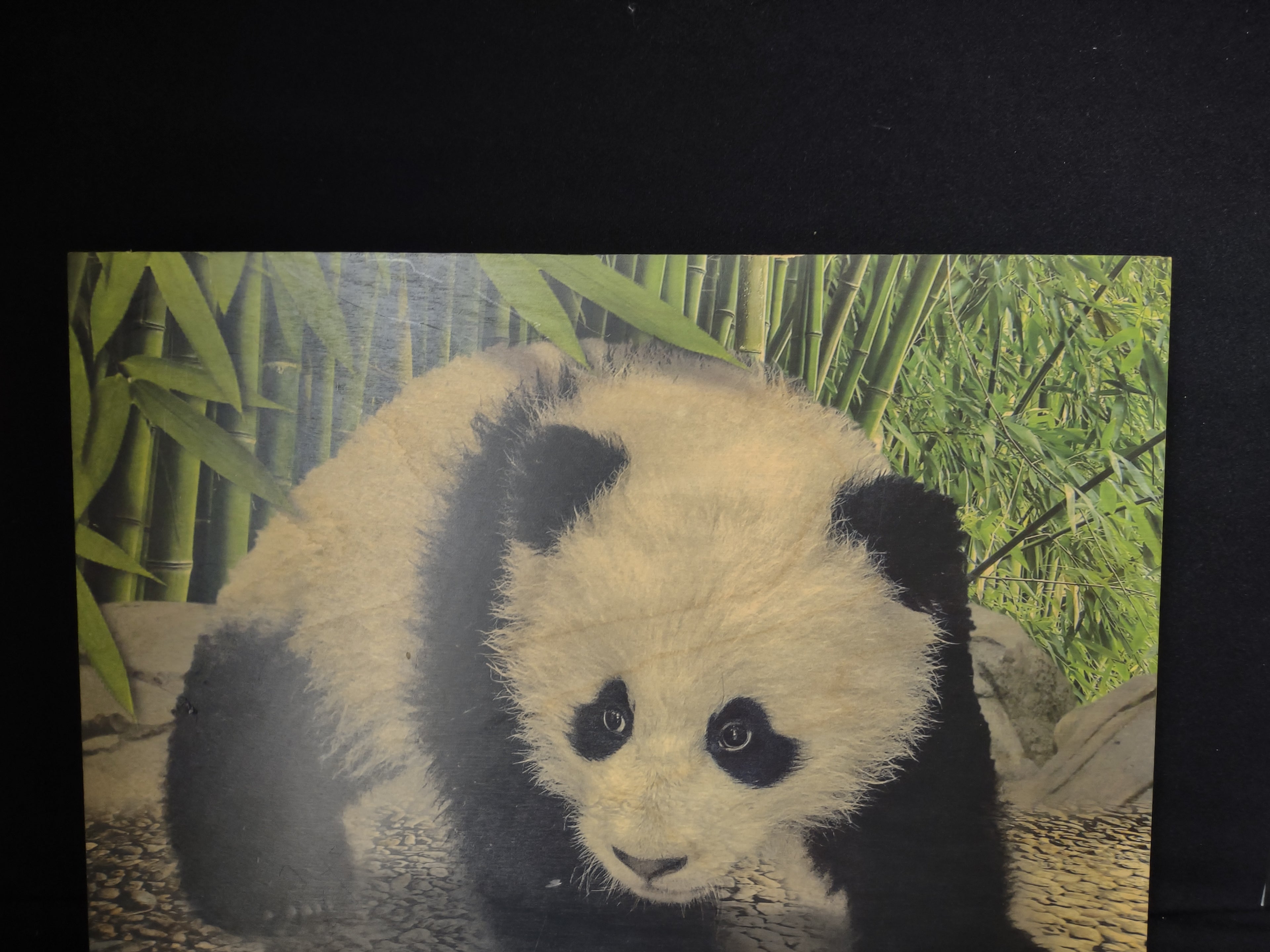 Bao Bao Smithsonian Panda Wooden Picture Portret Walnut Hollow (lot 2772c)