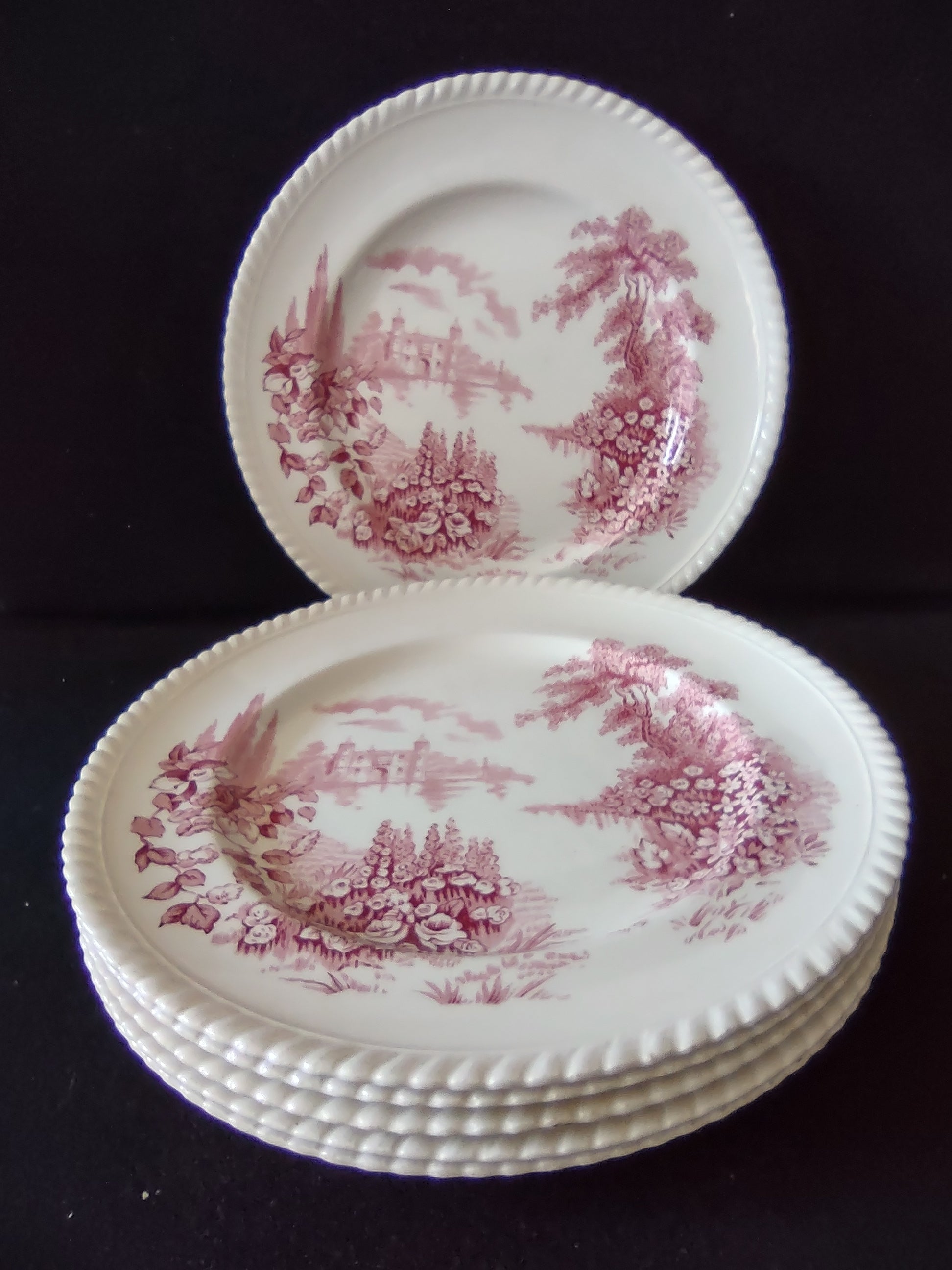 Vintage Castle On Lake Johnson Dinner Plate x 6 English Countryside (lot 5704)